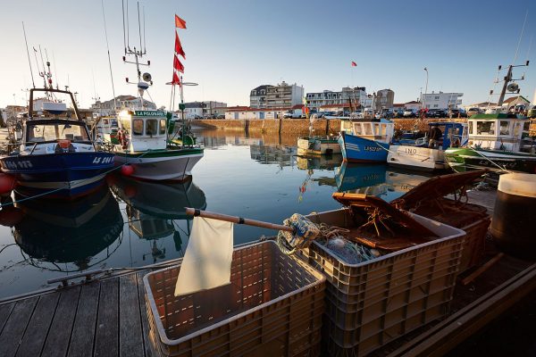 Explore the fishing port and marina in Saint-Gilles-Croix-de-Vie