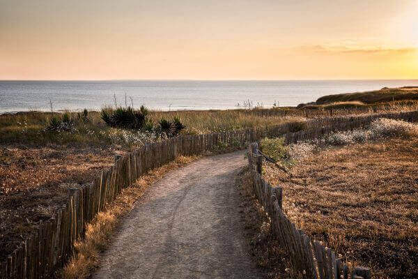 Exploring our wild coastline
