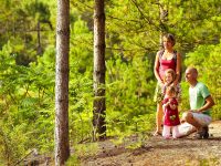 My idea for some family fun: a walk through the forest with the children