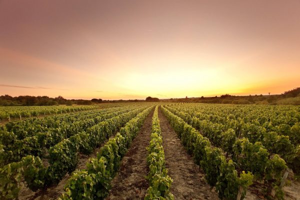 The must-sees of Brem-sur-Mer in one day