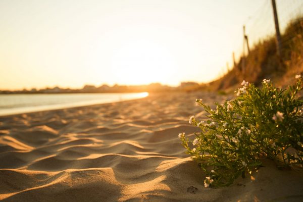 Relax, unwind and enjoy our 20 sandy beaches