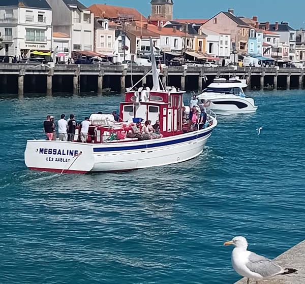 Messaline – Promenade et pêche en mer