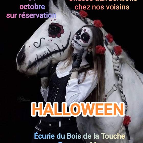 JOURNÉE HALLOWEEN AUX ÉCURIES DU BOIS DE LA TOUCHE A BREM SUR MER