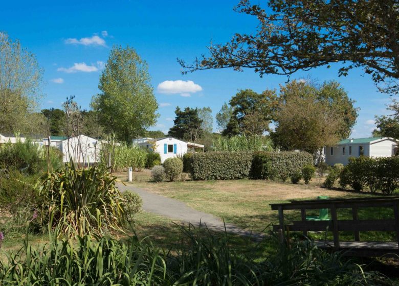 CAMPING DOMAINE DE BEAULIEU