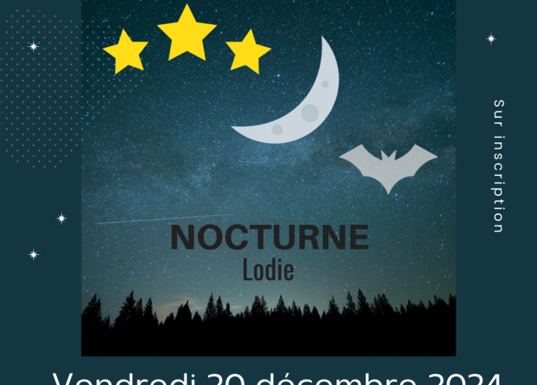 Spectacle “Lodie Nocturne”