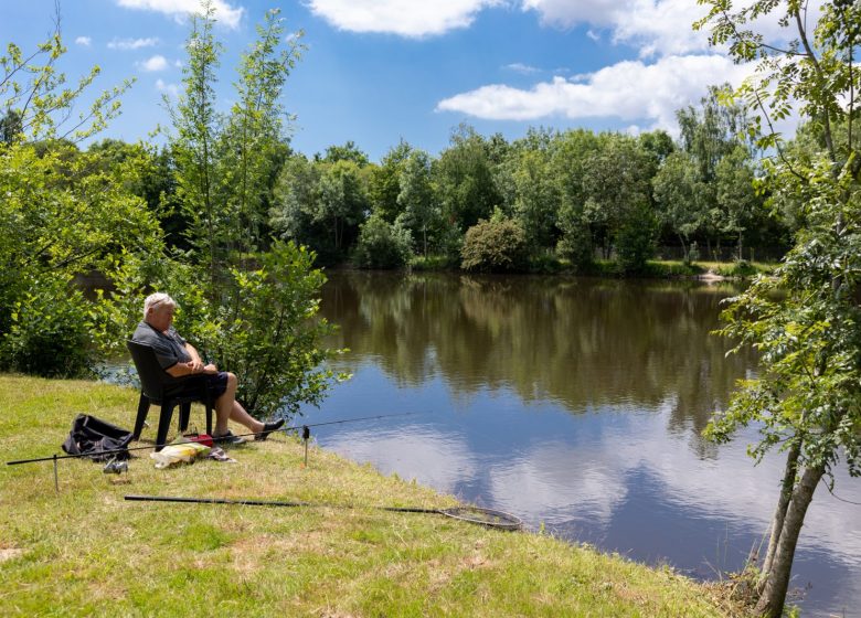 CAMPSITE FERME DU LATOIS