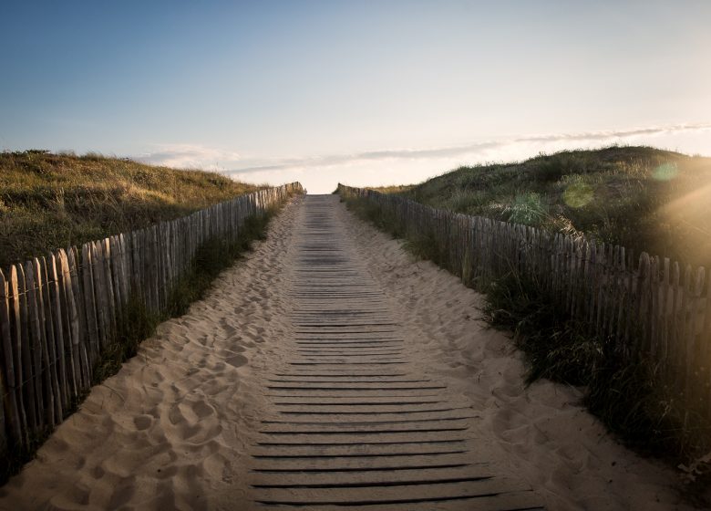 CIRCUIT DUNE FORÊT MARAIS N°26