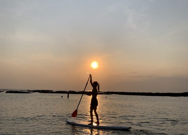 COURS DE PADDLE – ECOLE DE VOILE DE LA NORMANDELIÈRE